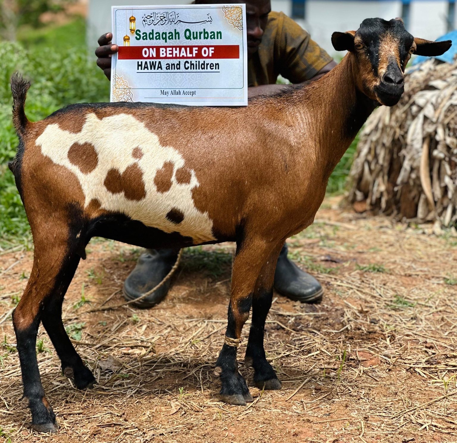 Qurban project field photograph